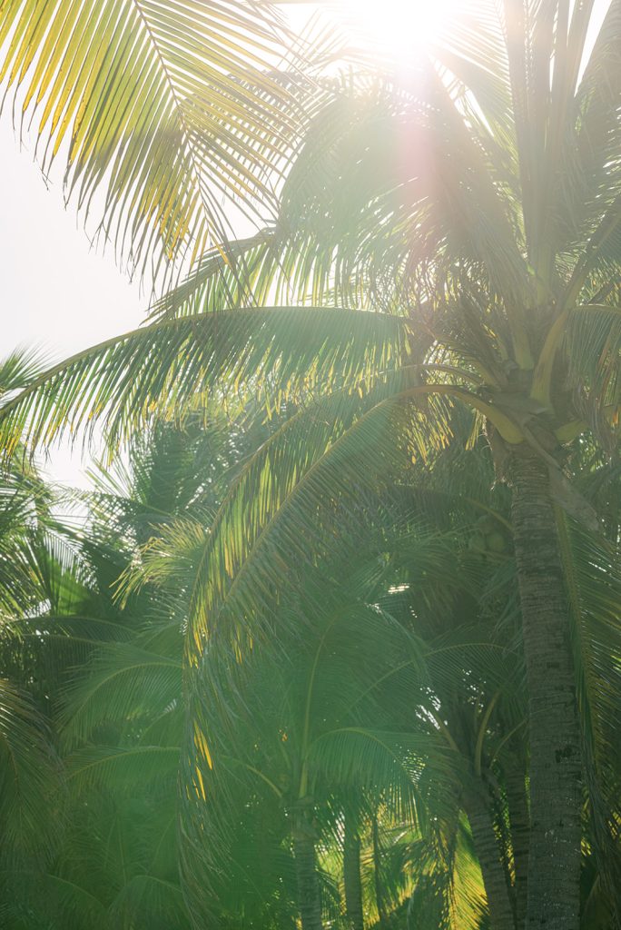 tulum wedding photographer