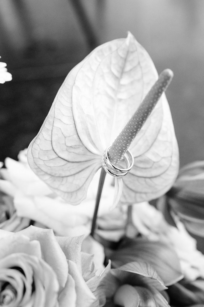 tulum wedding photographer