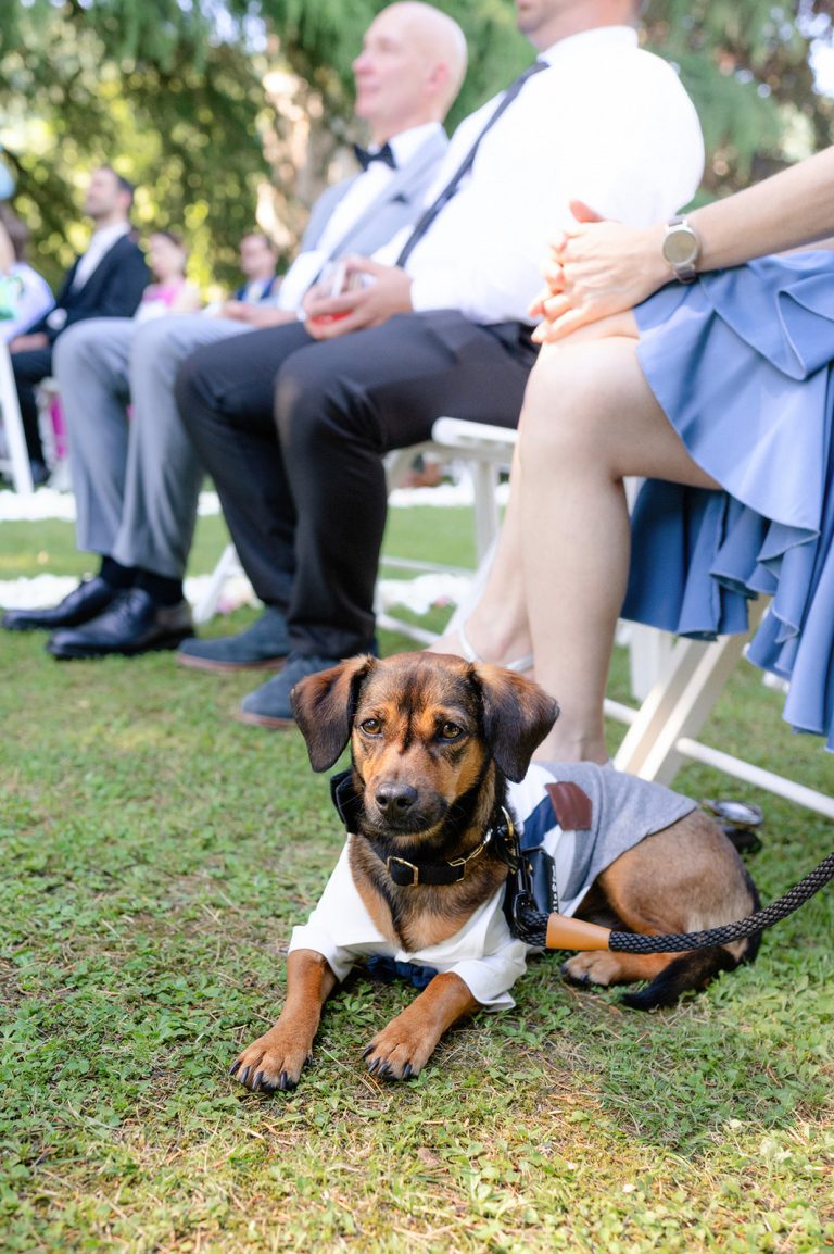 italy wedding photographer