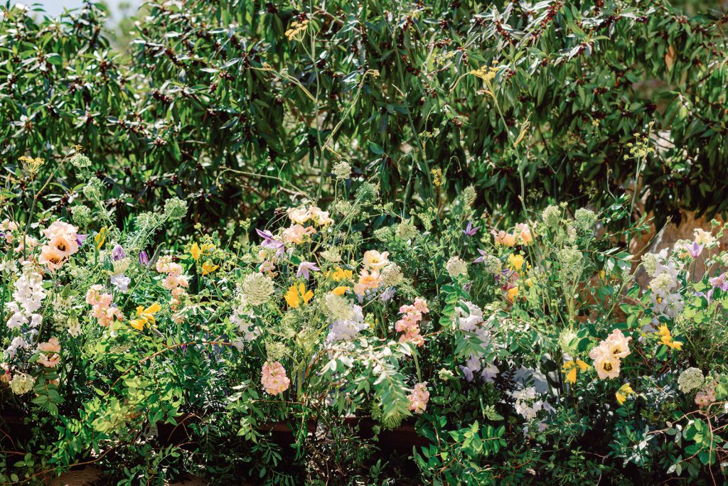 ibiza wedding photographer