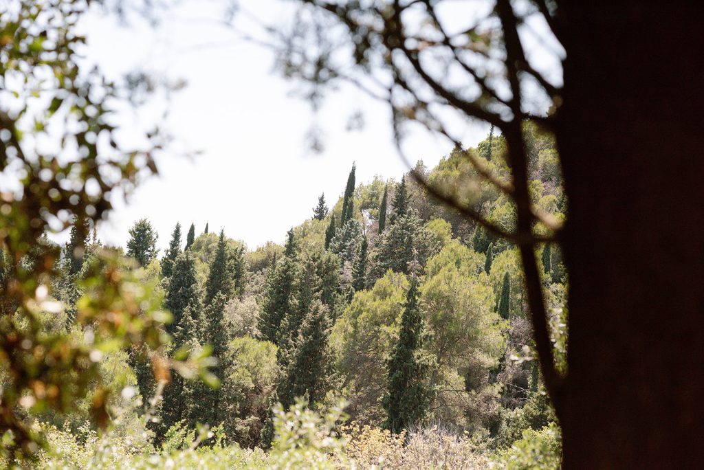spain wedding photographer
